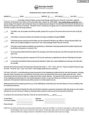 Promissory Note Short Term Loan