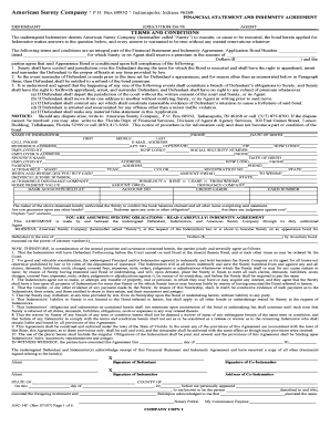 Financial Statement and Indemnity Agreement