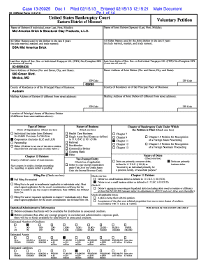US Bankruptcy Voluntary Petition