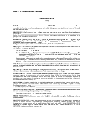 Time Note Payable at Bank