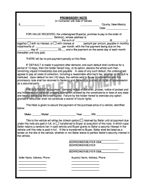 Promissory Note for Vehicle Sale