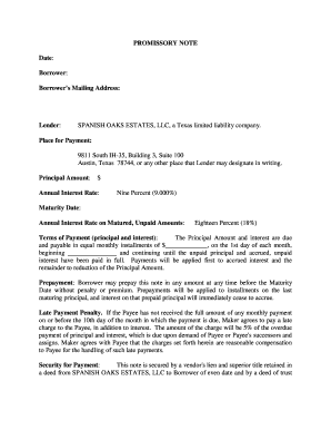 Texas Promissory Note Agreement