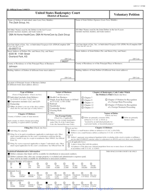 US Bankruptcy Voluntary Petition