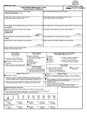 US Bankruptcy Court Voluntary Petition