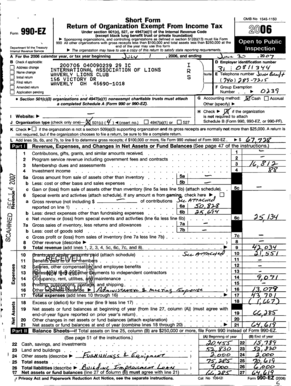 Form 990-EZ Tax Return
