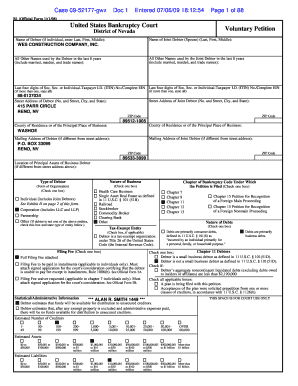 US Bankruptcy Court Voluntary Petition
