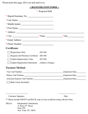 Form preview