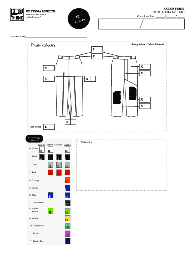 Form preview