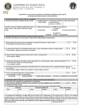 Pandemic Unemployment Assistance Supplement for Self-Employed