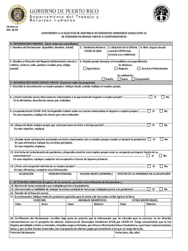 Pandemic Unemployment Assistance Supplement for Self-Employed Preview on Page 1