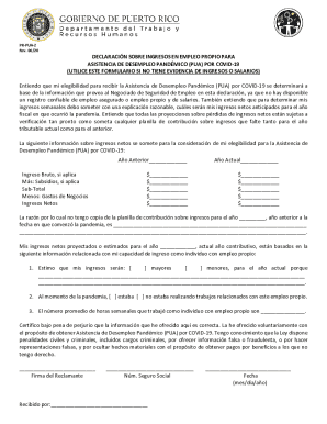 Pandemic Unemployment Assistance Self-Employment Income Statement