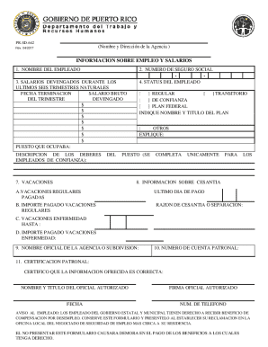 Puerto Rico Employment and Wages Information Form