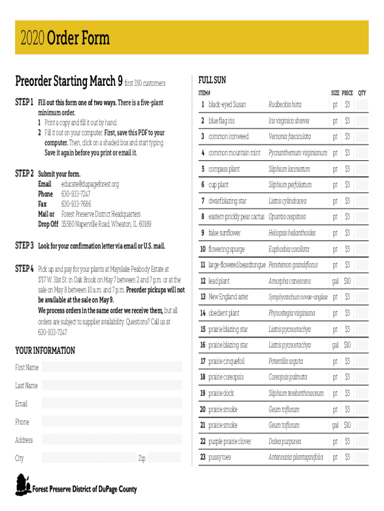 Form preview