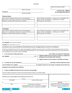 Ontario Affidavit Form 14A