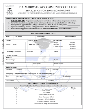 Form preview