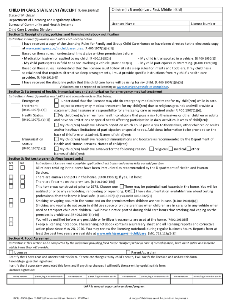 Fillable Child In Care Statement receipt printable pdf Preview on Page 1