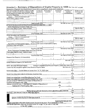 Schedule 3 - Disposition of Capital Property