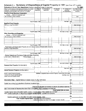 Schedule 3 - Summary of Dispositions of Capital Property 1991