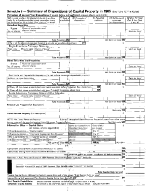 5011-S3 Schedule 3 - Yukon - T1 General 1985 - Summary of dispositions of capital property