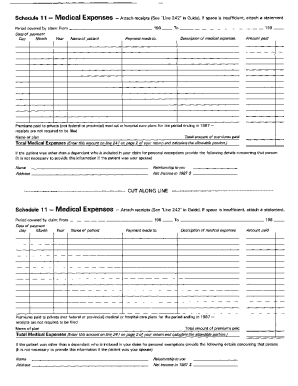 Schedule 11 Medical Expenses Form