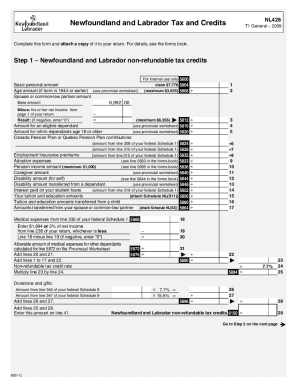 5001-C NL428 - Newfoundland and Labrador Tax and Credits - T1 General 2009