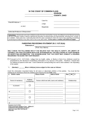 Parenting Proceeding Affidavit