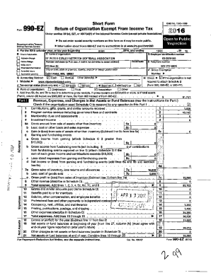 ST PETER GIRLS FASTPITCH SOFTBALL ASSOCIATION