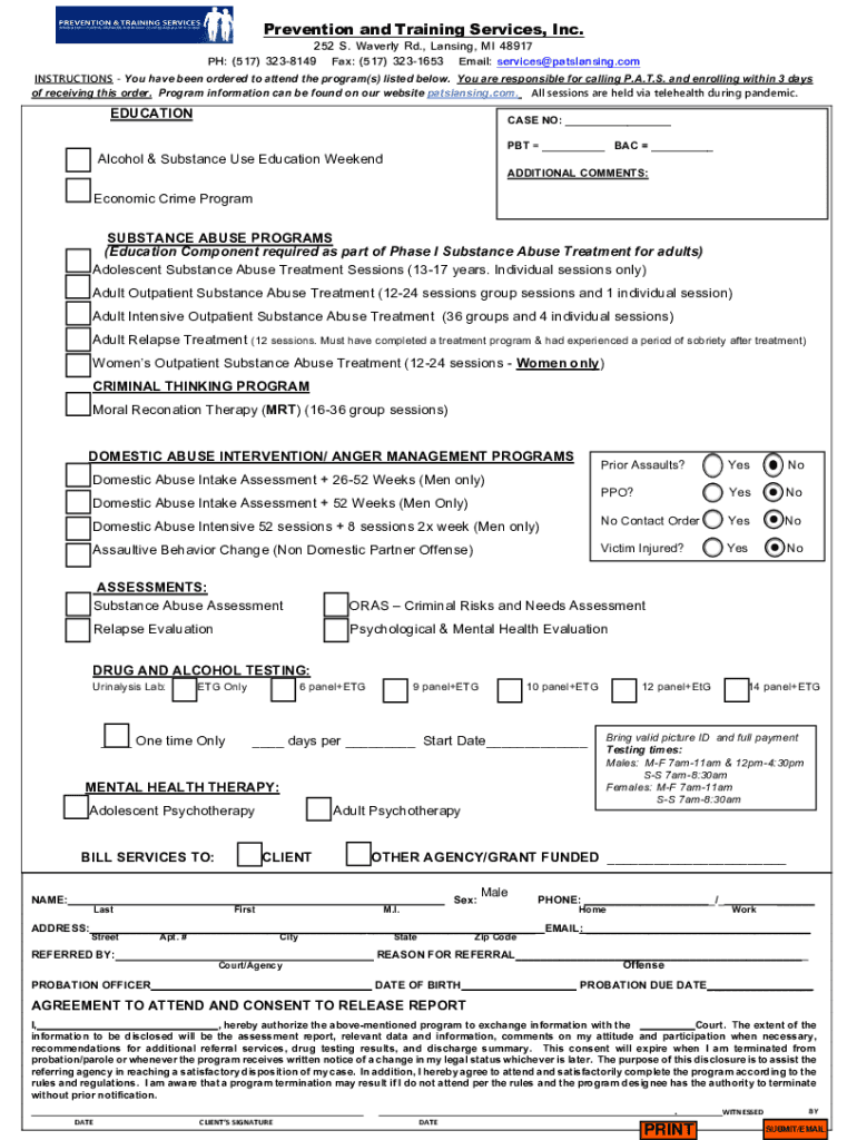 Form preview
