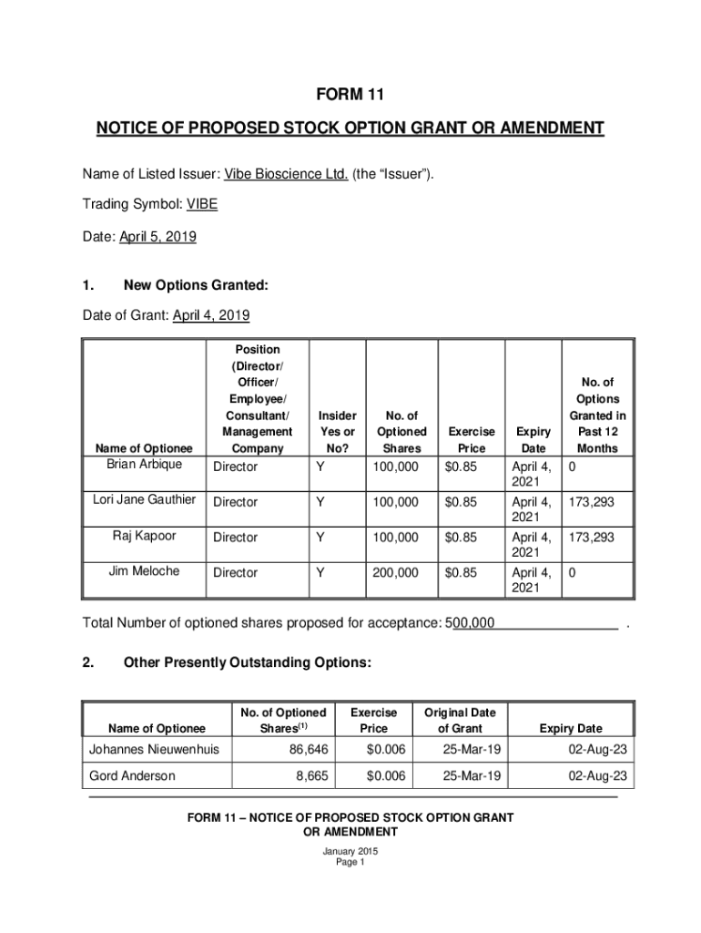Form preview