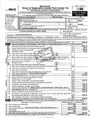 Form 990-EZ Tax Return
