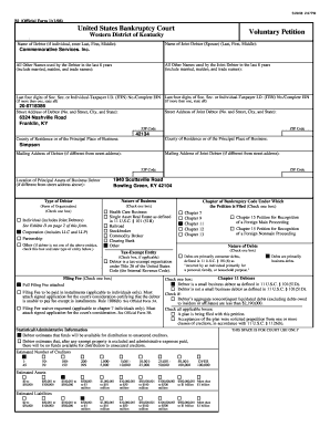 US Bankruptcy Court Voluntary Petition