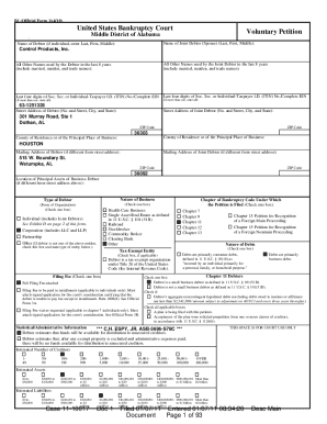 US Bankruptcy Court Voluntary Petition
