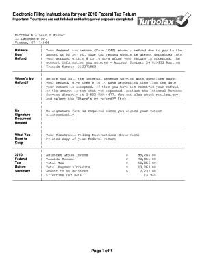 2010 US Federal Tax Return Form 1040