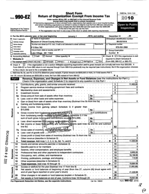 Form 990-EZ Tax Return
