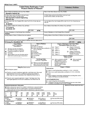 US Bankruptcy Court Voluntary Petition