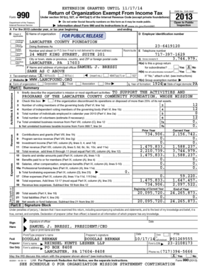IRS Form 990 2013