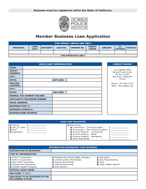 California Business Loan Application