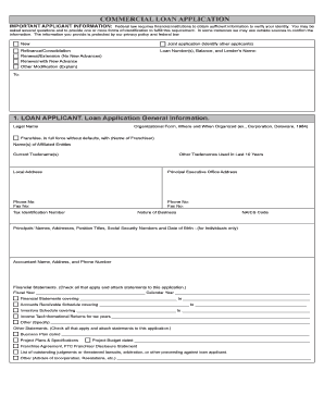 Commercial Loan Application Form