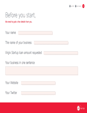 Virgin Startup Business Plan Template