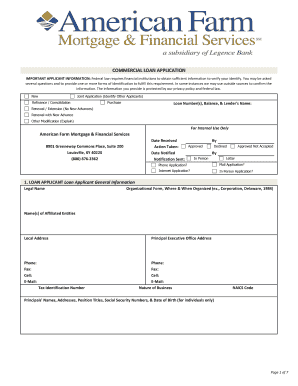 Commercial Loan Application Form