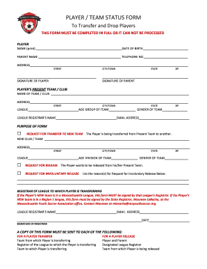 Player Team Status Form