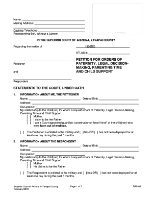 Arizona Paternity, Legal Decision-Making, Parenting Time, and Child Support Petition