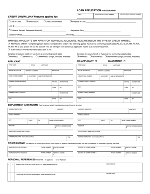 Consumer Loan Application Form