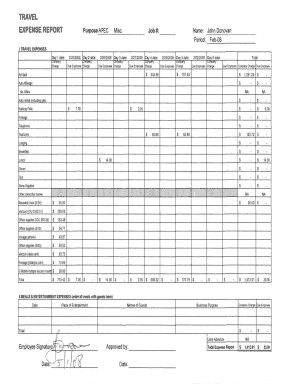 Travel Expense Report Form