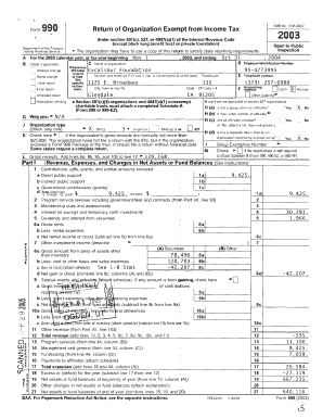 Form 990 2003 Exempt Organization Tax Return