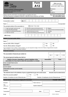 Annual Summary of Financial Affairs Form A12