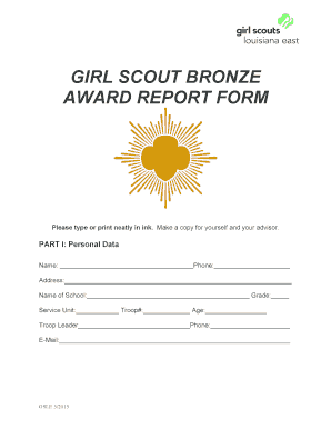 Girl Scout Bronze Award Report Form