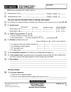 Child Support Order Form DV-160(TC)