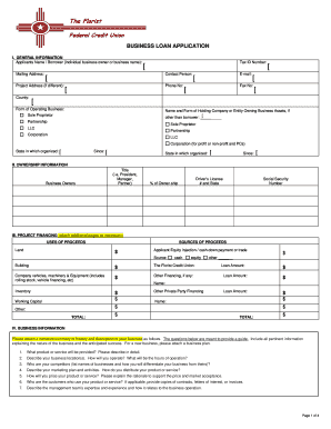 Business Loan Application