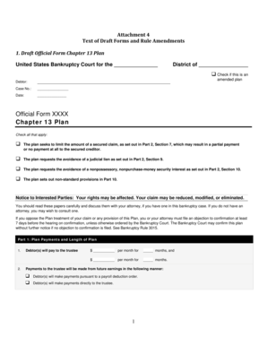 Chapter 13 Bankruptcy Plan Form